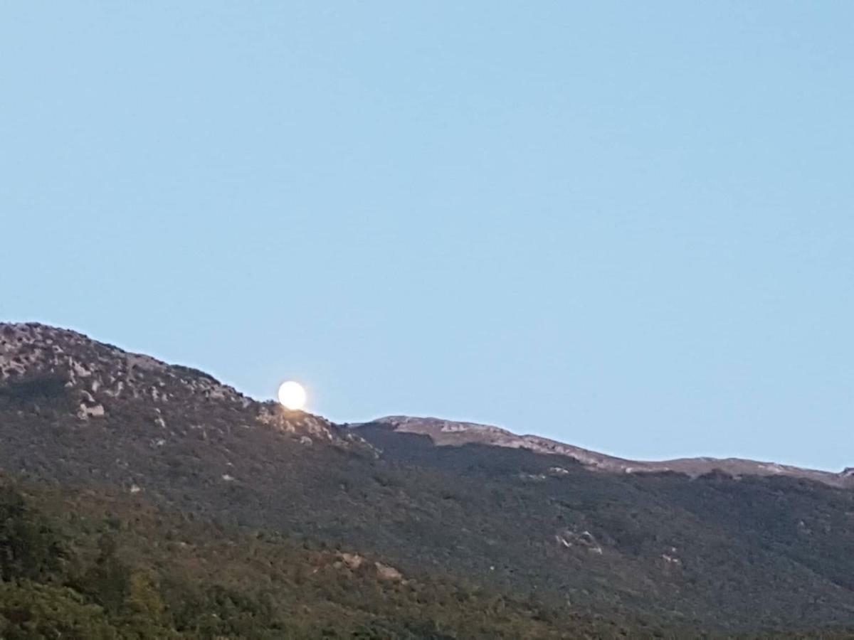 Et Larum Peštani Buitenkant foto